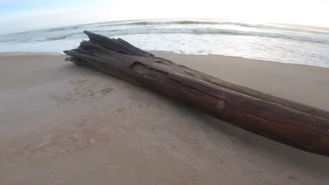 Walk up to a drift wood on the beach Stock Footage 155901191