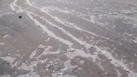 Walk on a dry sea Stock Footage 136601994