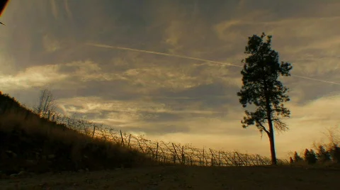 Walk at dusk Stock Footage 709632