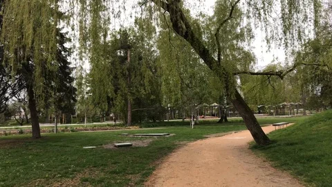 Walk in the empty Park Stock Footage 104843424