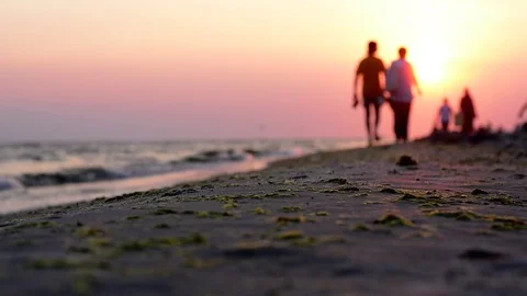 Walk on the evening coast Stock Footage 76773482