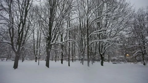 Walk in the evening in the snow park Stock Footage 228754132