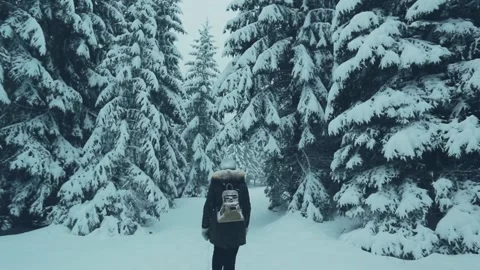 Walk in a fabulous winter forest. Stock Footage 100661332