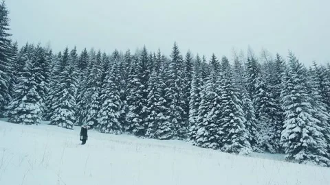 Walk in a fabulous winter forest. Stock Footage 100661422