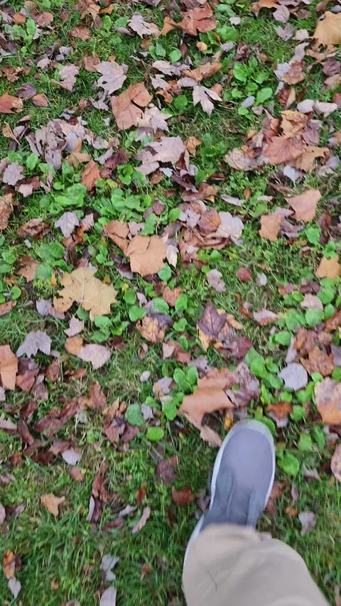 Walk in Fall- feet on Fall Leaves - Autumn Walk  vertical mobile video Stock Footage 221288111