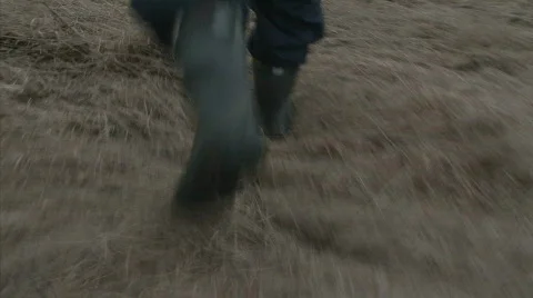 Walk in the field Stockbeeldmateriaal 738514