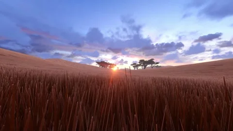 Walk on field toward sunset Video stock 262638101