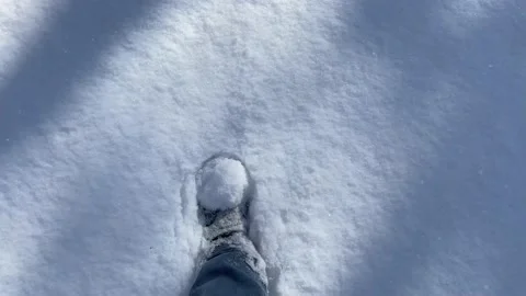 Walk on first snow Stock Footage 230023397