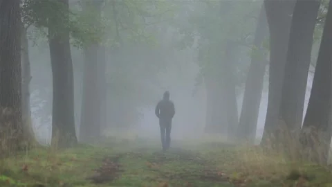 Walk in the fog Stock Footage 132426353