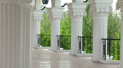 Walk Stock Footage 375724