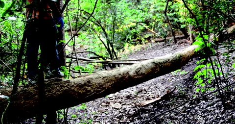 Walk Vídeos de archivo 132766568