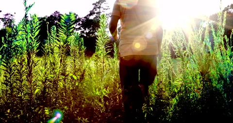 Walk Vídeos de archivo 132769596