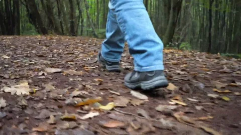 A walk in forest in autumn, low angle shoes displayed Stock Footage 97720799