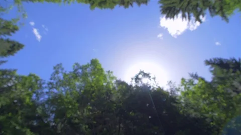 A walk in the forest. beautiful view. time to relax Video stock 111973763
