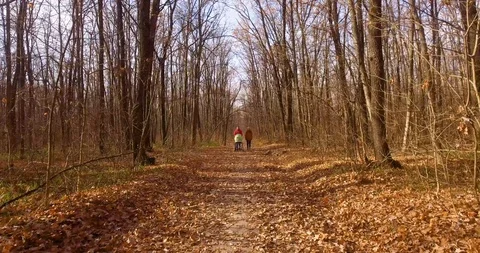 Walk forest couple pram Video stock 99042460