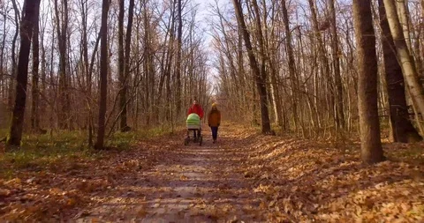 Walk forest couple pram Video stock 99042497