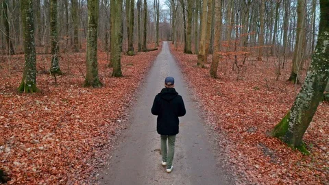 A walk in the forest in Denmark Video stock 102908034