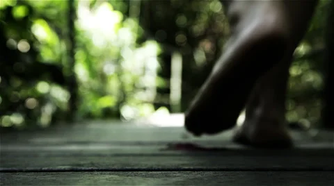 Walk in the forest Stock Footage 34146896