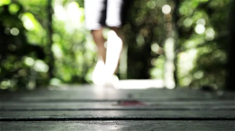 Walk in the forest Video stock 34148282