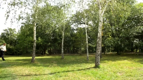 Walk In The Forest Stock Footage 52725872