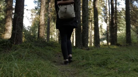 Walk in the forest Stock Footage 122159134