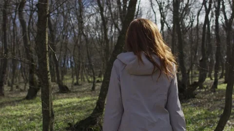 Walk in forest Stock Footage 138166544