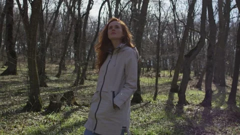 Walk in forest Stock Footage 138167057