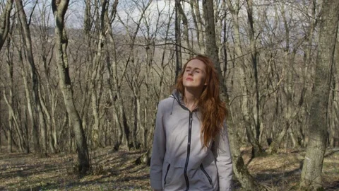 Walk in forest Stock Footage 138167508