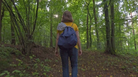 Walk in the forest Stock Footage 150835849