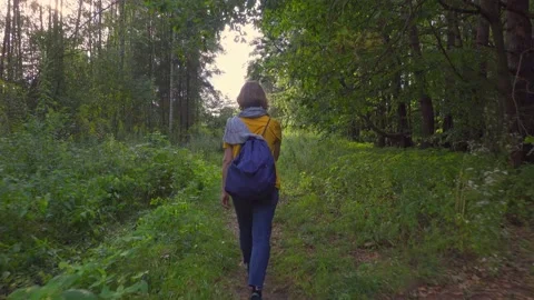 Walk in the forest Video stock 150836026