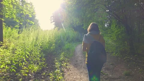 Walk in the forest Stock Footage 150836195