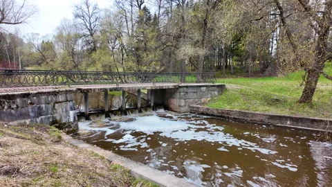 A walk in the forest park in early spring. Slowmotion Stock Footage 337784342