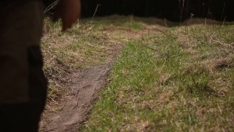 Walk in the forest. On the path-2. 動画素材 75752128