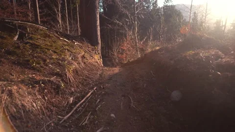 Walk on forest road Stock-Footage 152330989