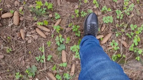Walk in the forest in spring. Top view of the feet Video stock 187085507