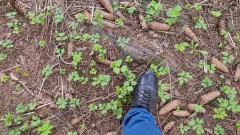 Walk in the forest in spring. Top view of the feet Stock-Footage 187087616