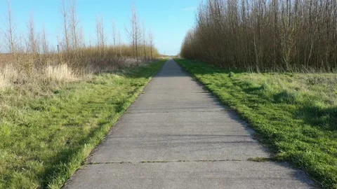 Walk to the forest in the wind and sun Stock Footage 152949327