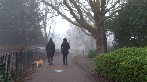 A walk with a friend. Stock Footage 145790752