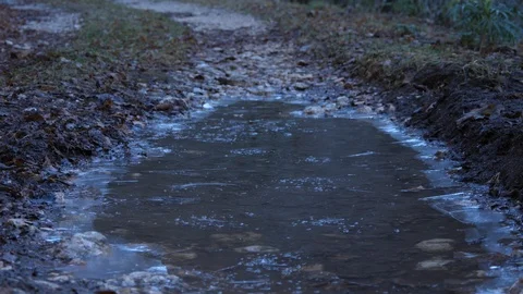 Walk on frozen puddle in a forest 動画素材 123217994