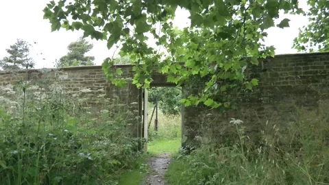 Walk into a garden gate with brick wall 库存影片 134206889