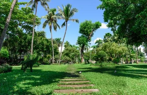 The walk in the garden. Stock Photos