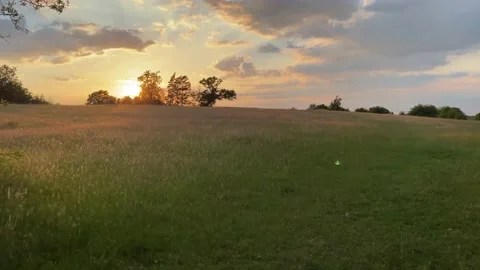 A walk in a green field at sunset Stock Footage 136842724