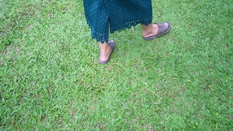 Walk on green grass Stock Footage 253085491