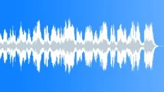 Walk The Grey Line (WP) 03 Alt2 (country,delta blues, blues,roots,americana)Stock Music