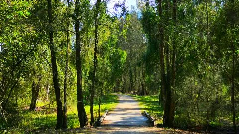 The Walk of Healing Stock Photos