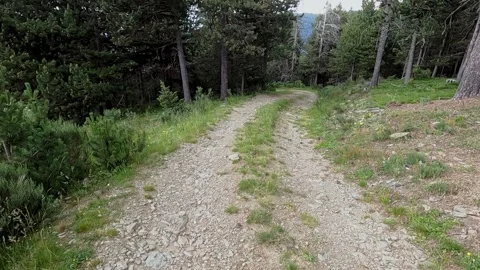 Walk on a high mountain road. Stock Footage 157648705