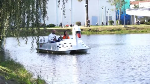 Walk on the lake on a catamaran Stock Footage 220485176