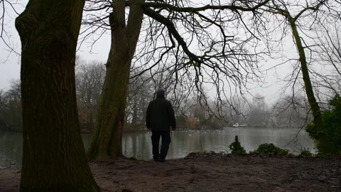 A walk by the lake. Stock Footage 145795075