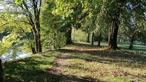 Walk on the lake shore on the path through the trees Stock Footage 141710103