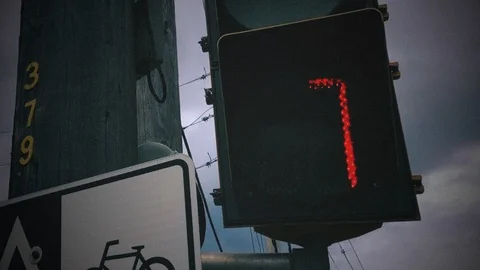 WALK Leader UHD Video stock 122537566